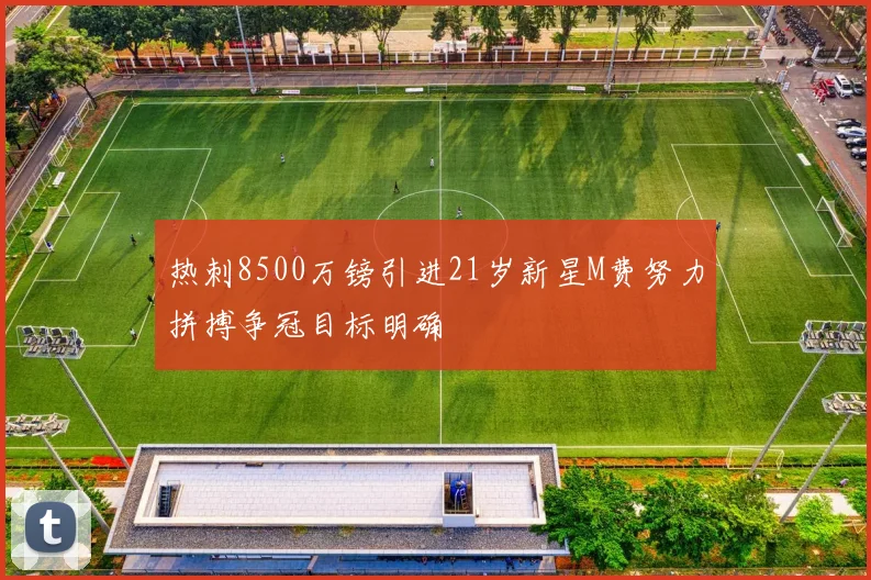 热刺8500万镑引进21岁新星M费努力拼搏争冠目标明确